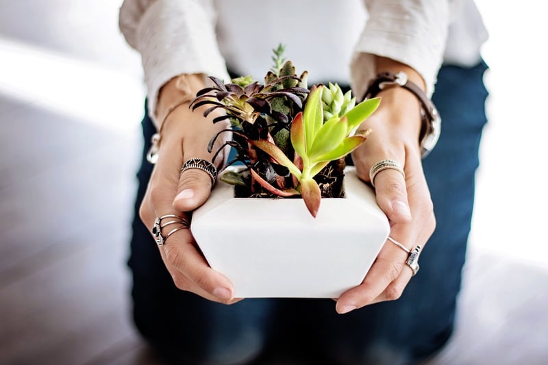 Indoor Varieties