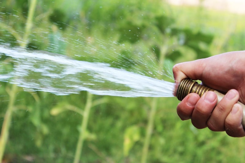 Summer Watering
